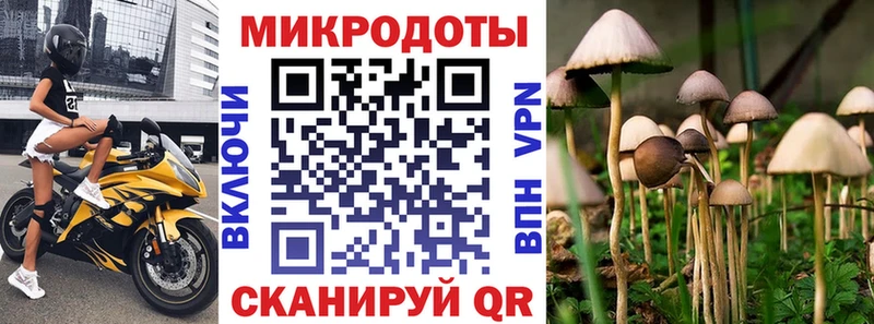 mega вход  Краснослободск  Псилоцибиновые грибы Magic Shrooms 